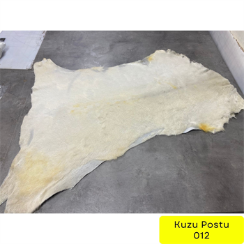 Fırsat 056, Kuzu Post 012