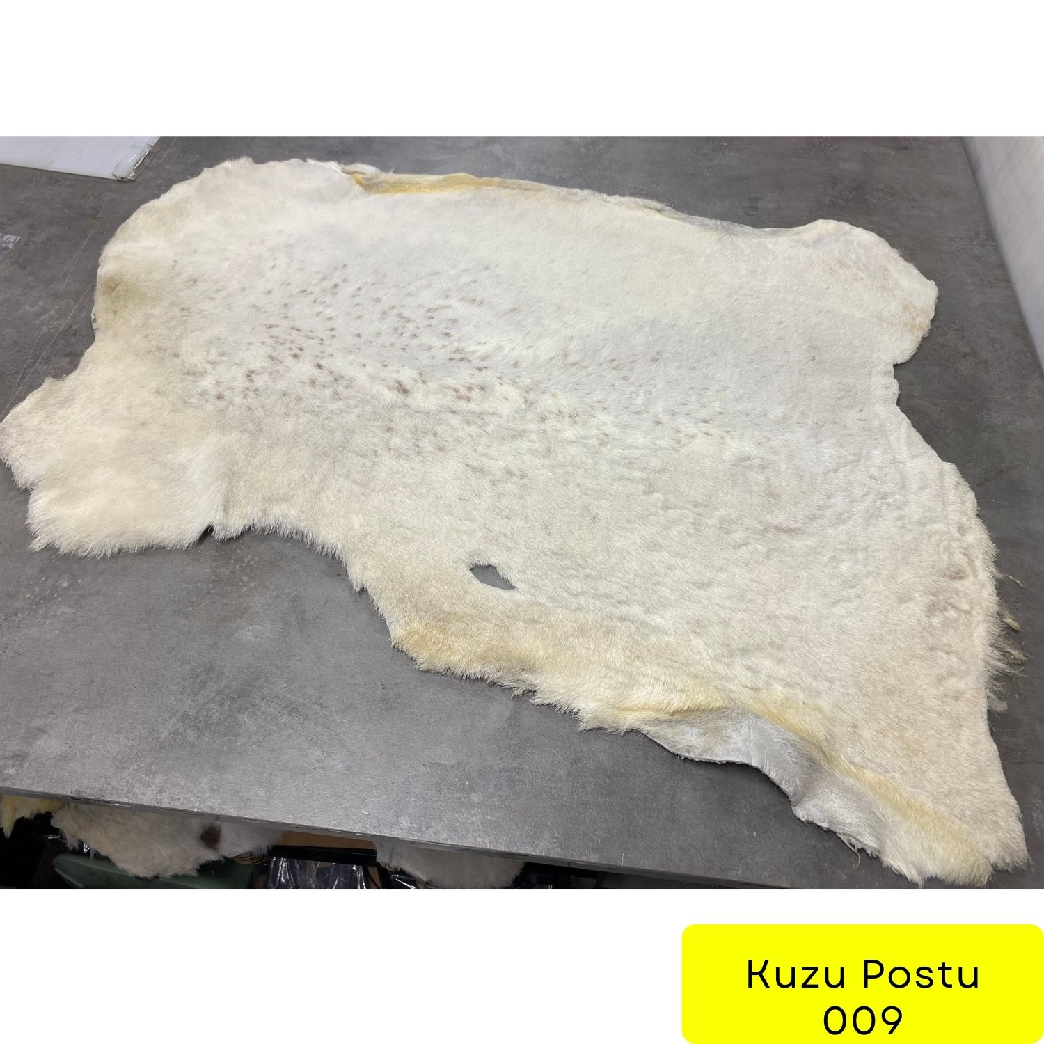 Fırsat 053, Kuzu Post 09