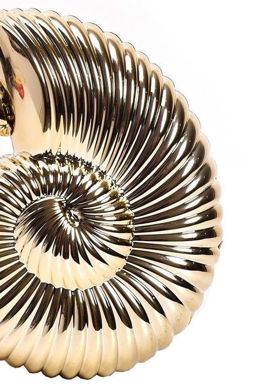 Deniz Kabuğu Model Parlak El Çantası FE4569