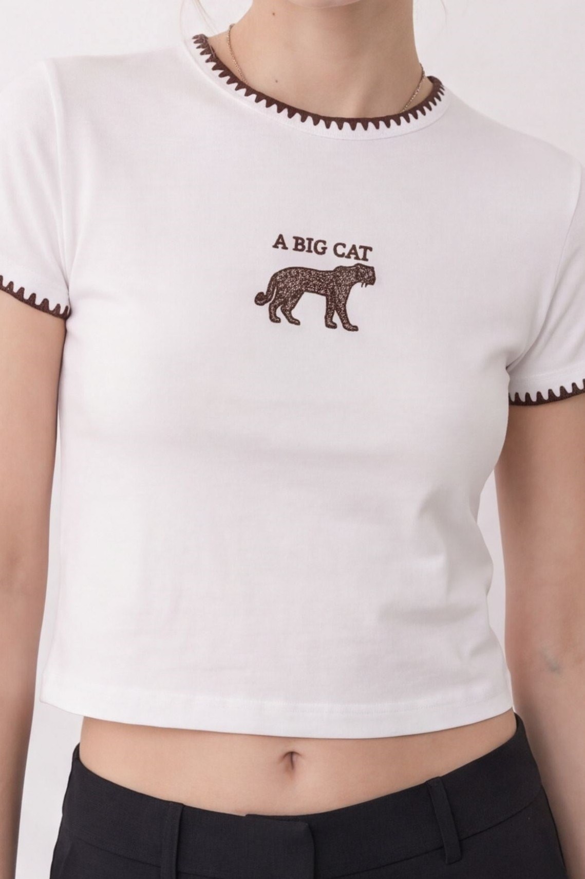 Yakası Nakışlı A Big Cat Yazı  Nakışlı T-shirt QZ02602
