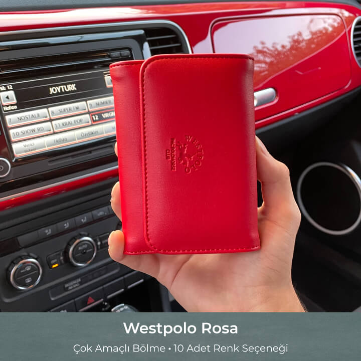 10-adet-renk-secenekli-cok-amacli-bolmeli-westpolo-rosa