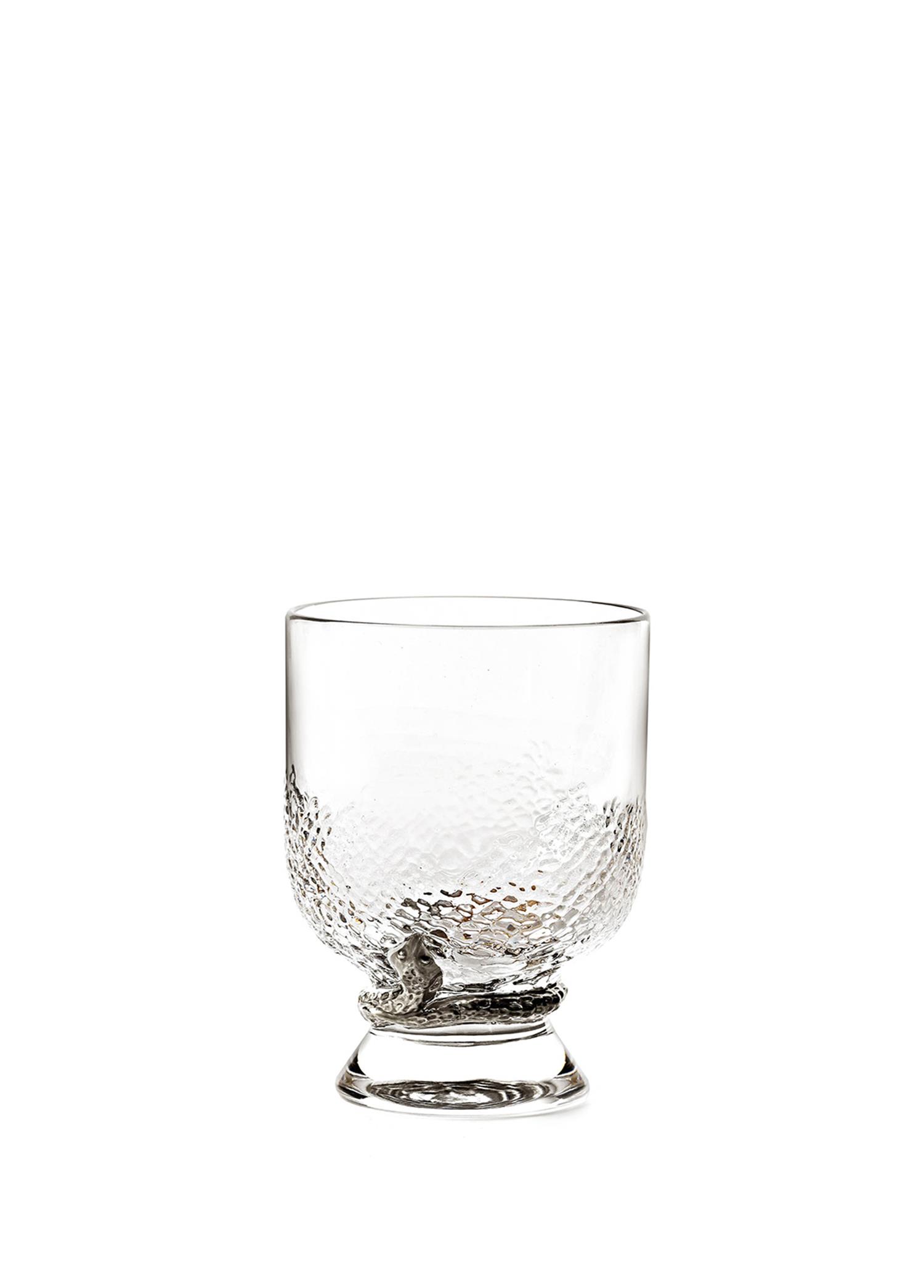 ROBERTO CAVALLI PHYTON PLATIN - VISKY BARDAGI, 0,23 L