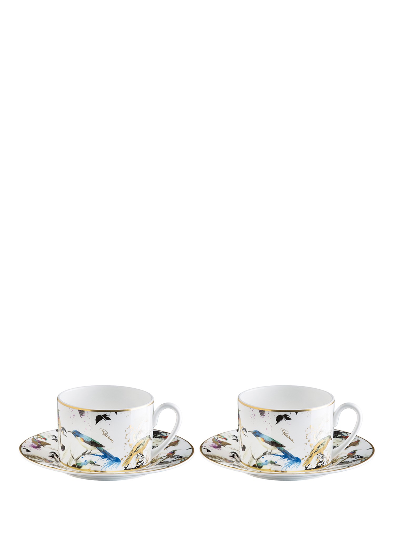 ROBERTO CAVALLI GARDENS BIRDS - 2 KISILIK KAHVE/CAY FINCAN VE TABAGI, 0,22 L, 4 PARCA