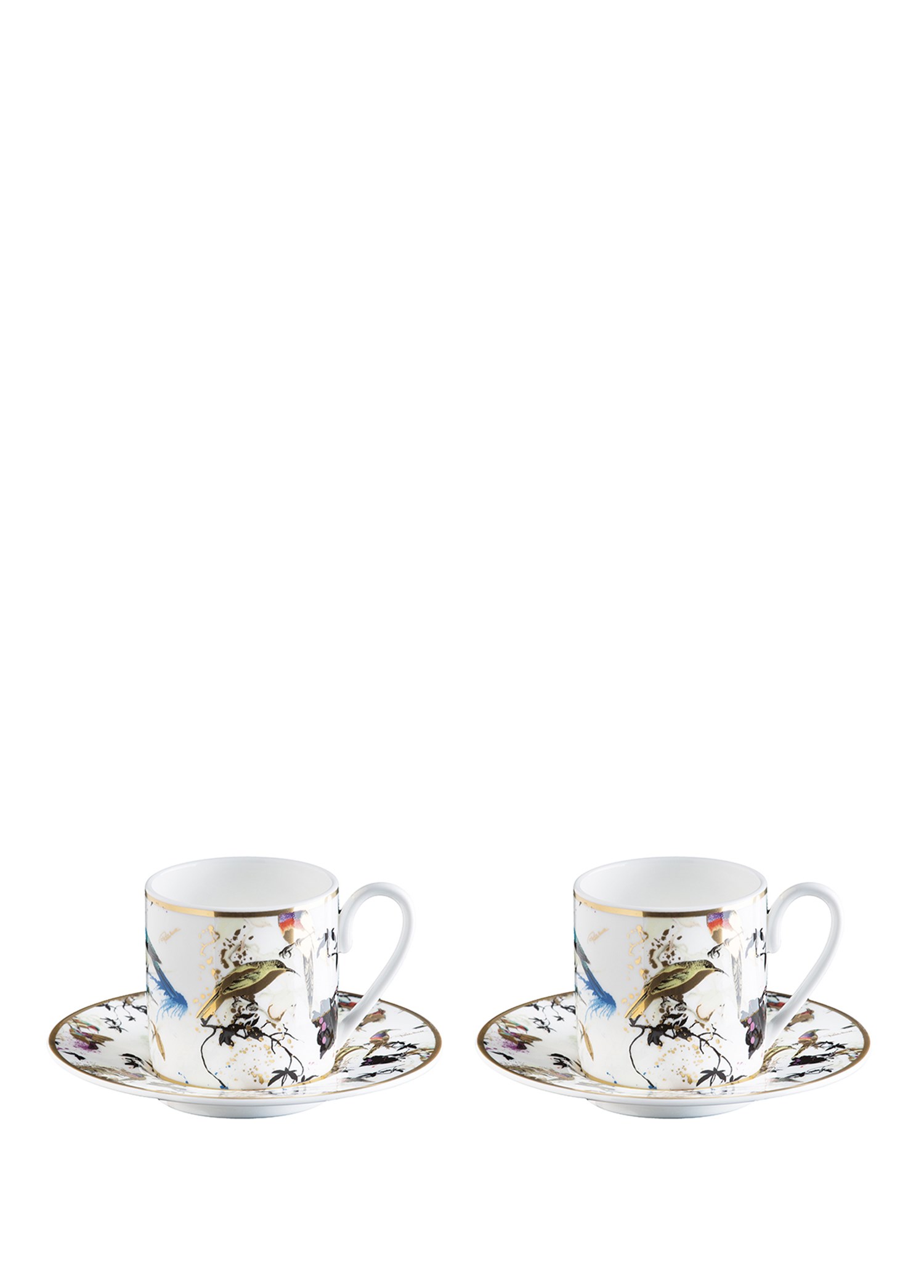 ROBERTO CAVALLI GARDENS BIRDS - 2 KISILIK TURK KAHVESI FINCAN VE TABAGI, 0,12 L, 4 PARCA