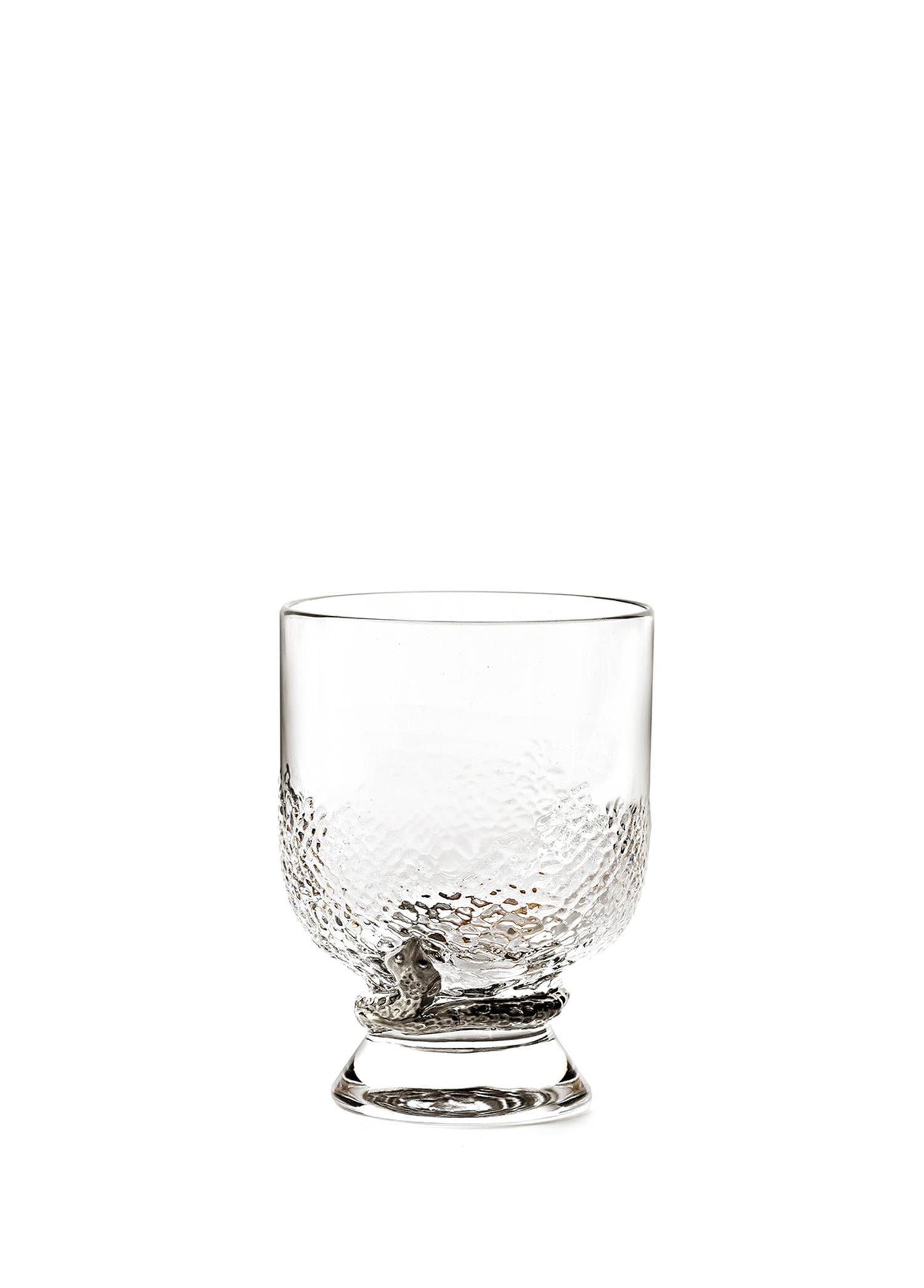ROBERTO CAVALLI PHYTON PLATIN - SU/MESRUBAT BARDAGI, 0,33 L