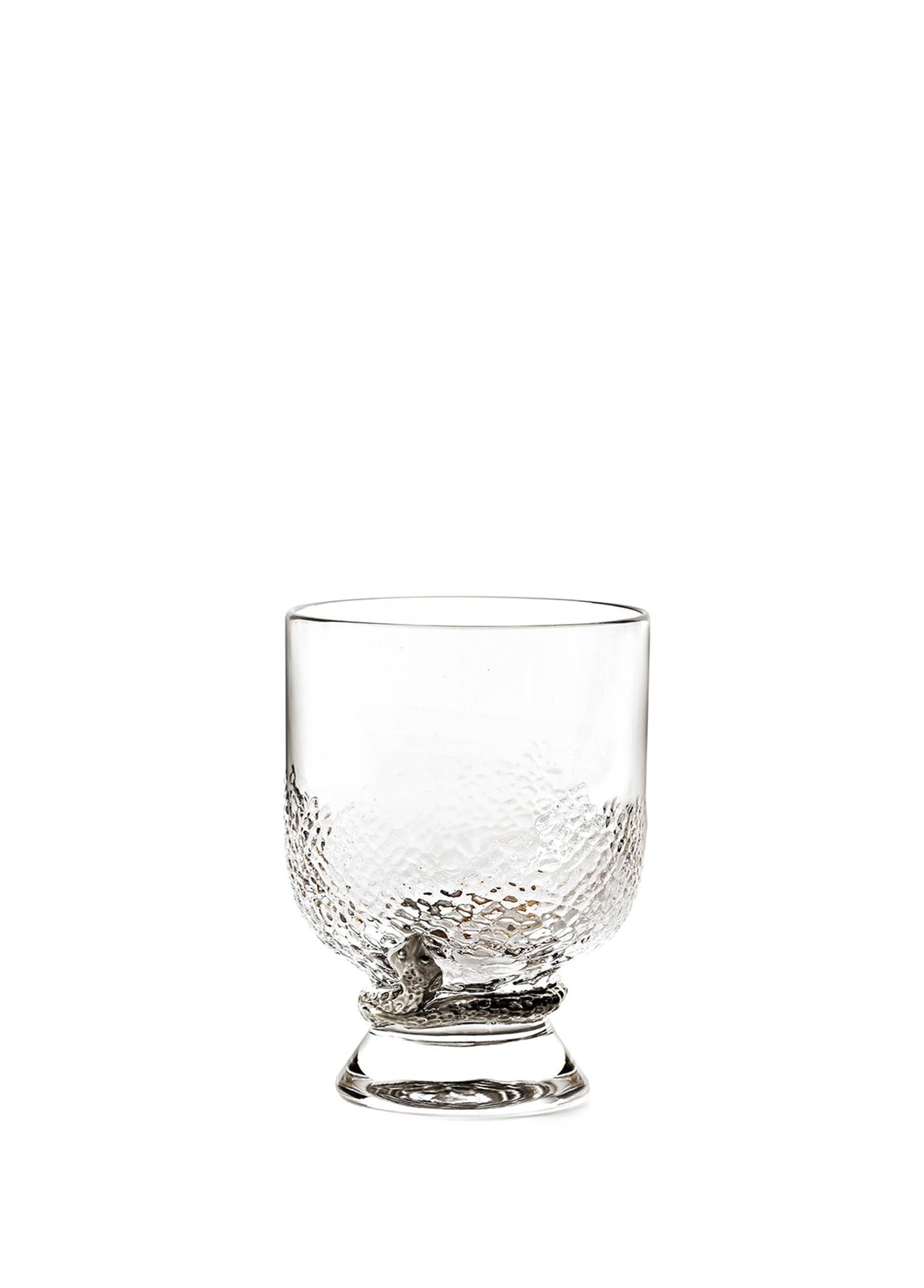 ROBERTO CAVALLI PHYTON PLATIN - VISKY BARDAGI, 0,23 L