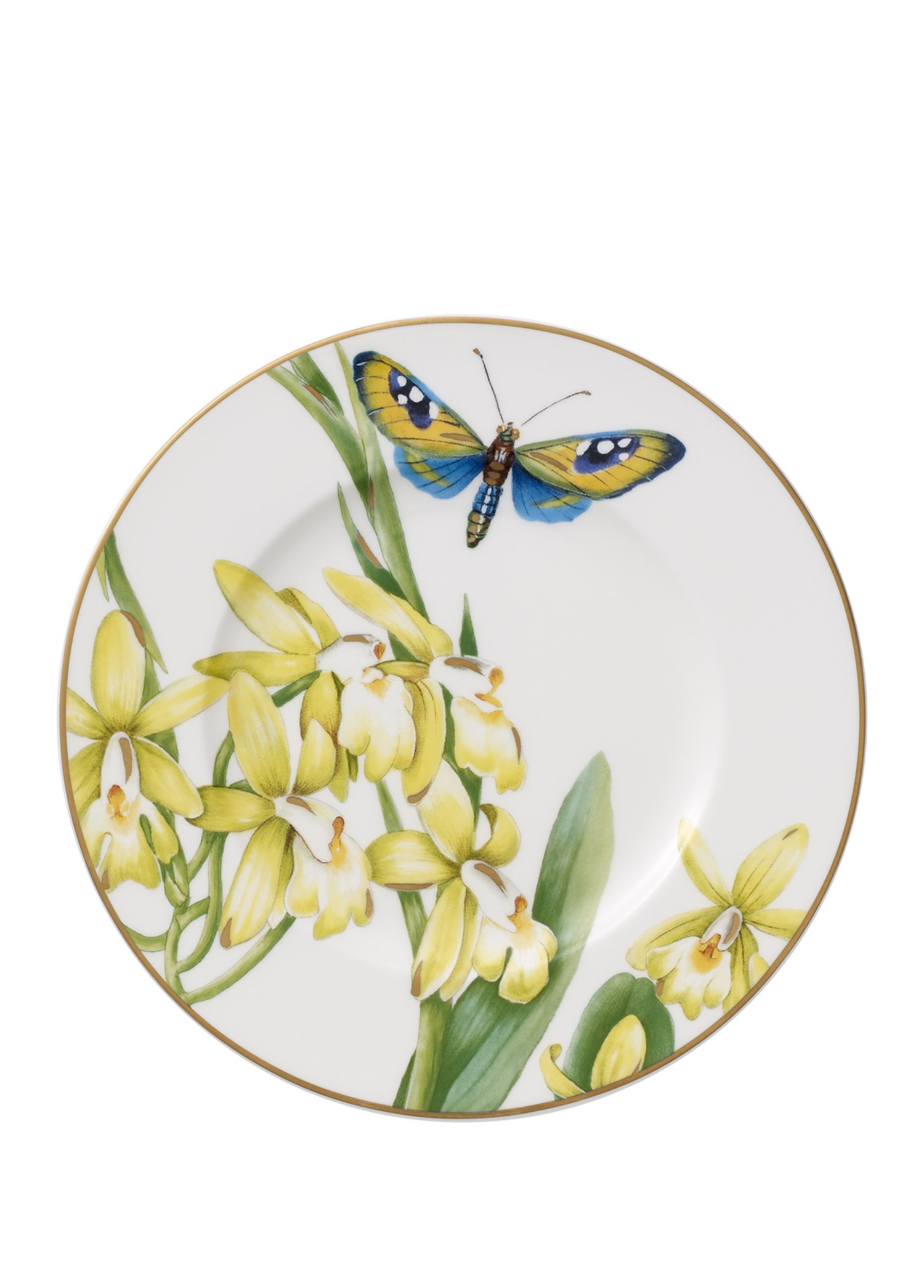 VB AMAZONIA ANMUT - EKMEK TABAGI, 16CM