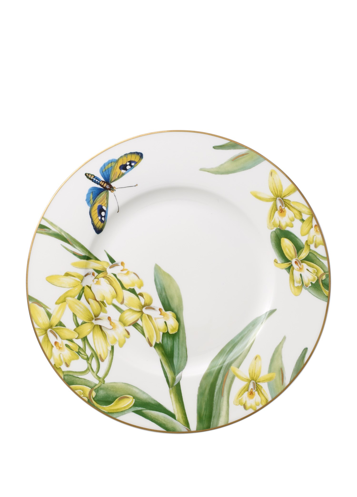 VB AMAZONIA ANMUT - PASTA TABAGI, 22CM