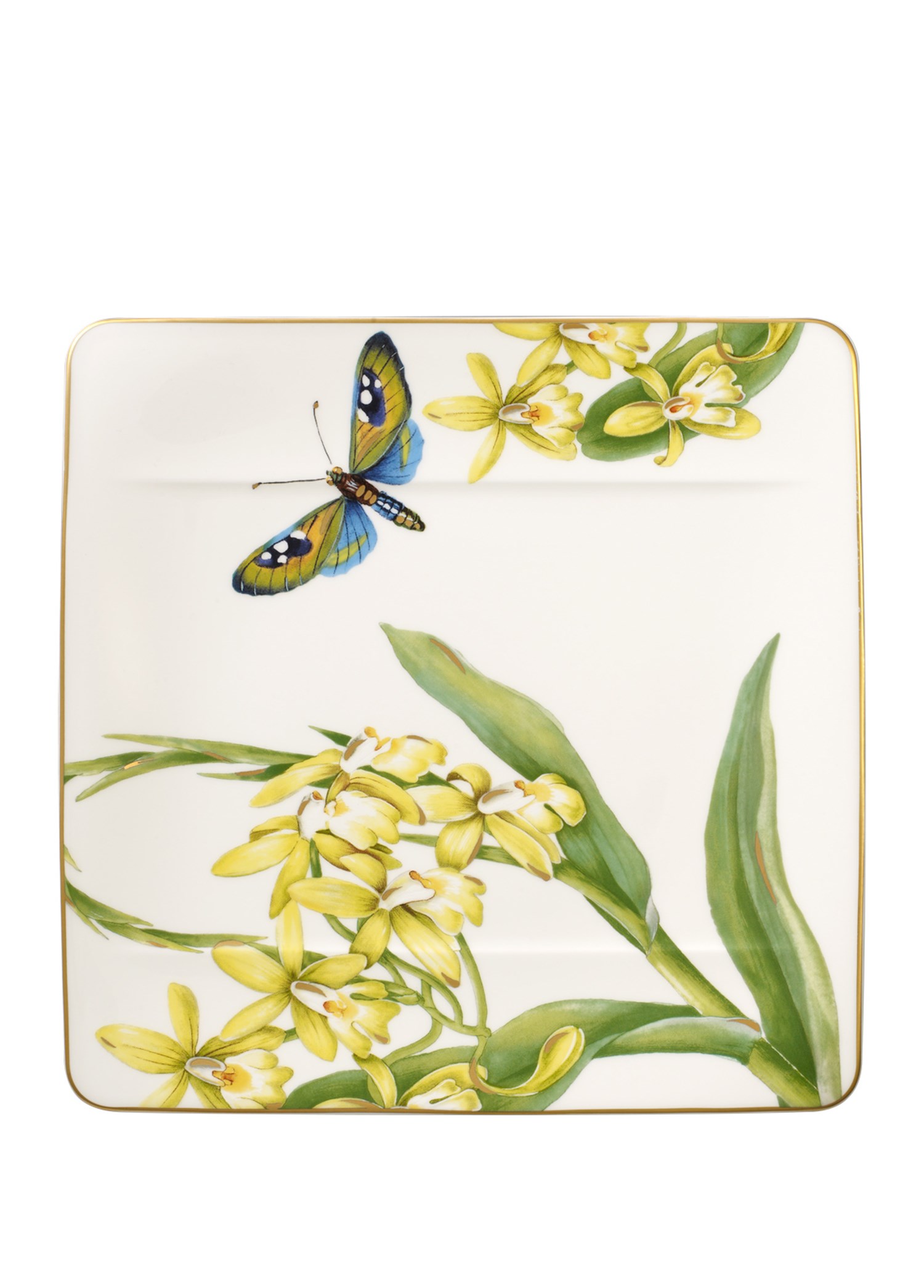 VB AMAZONIA - PASTA TABAGI, KARE, 23X23CM