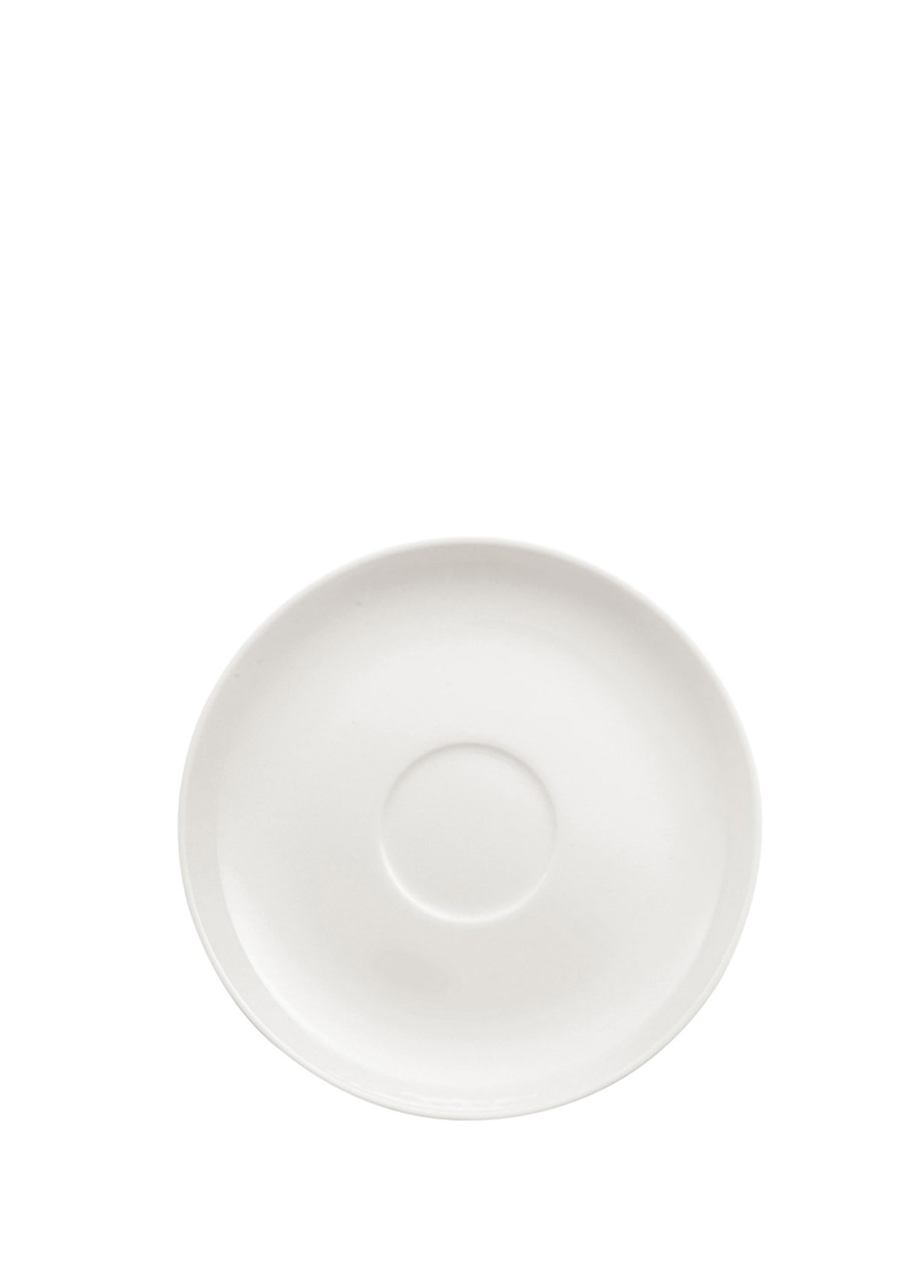VB ROYAL - NESC./CAY TABAGI, 15CM
