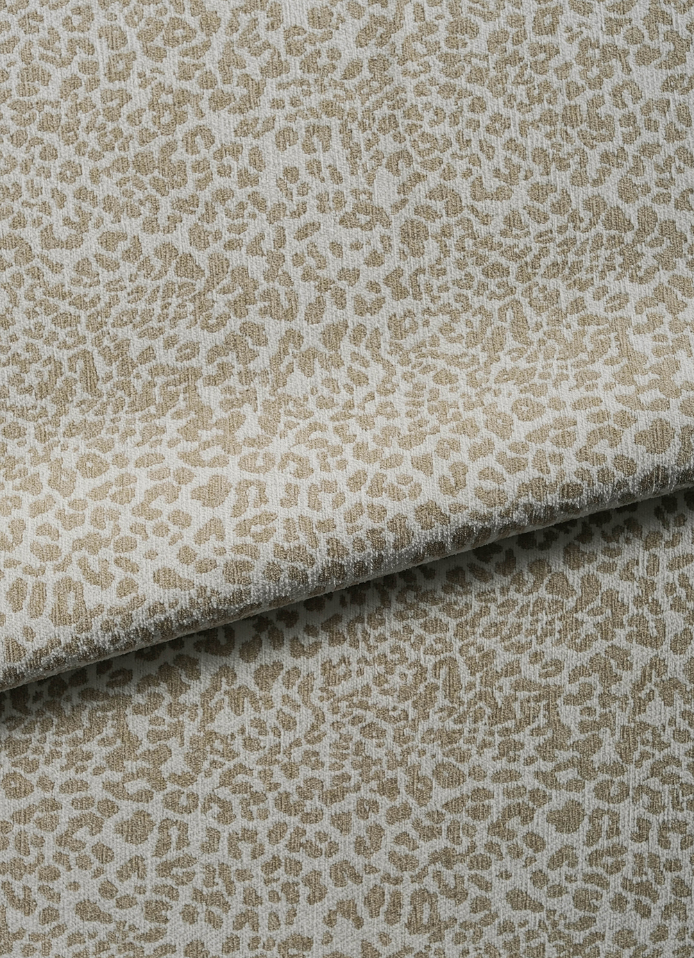 Leo 01