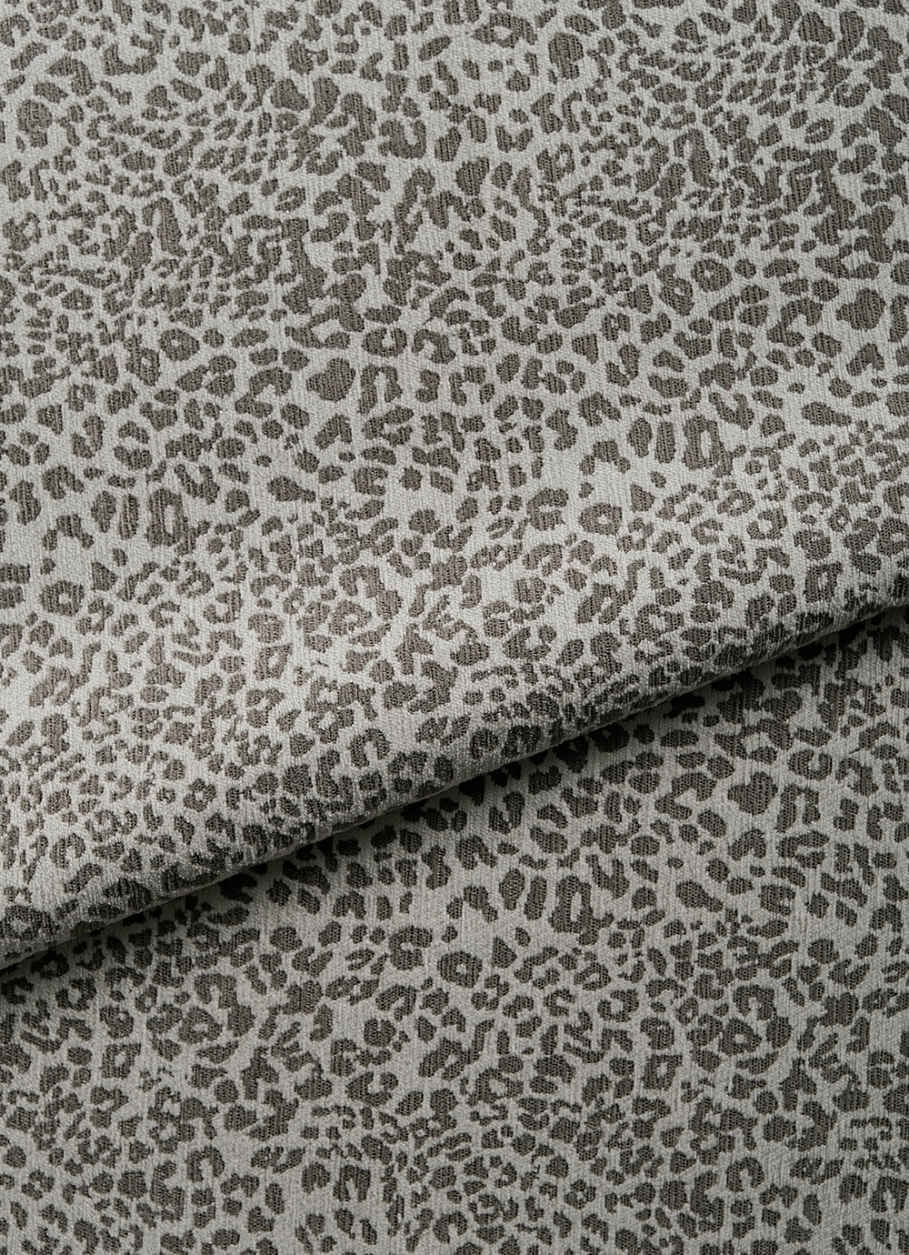 Leo 02