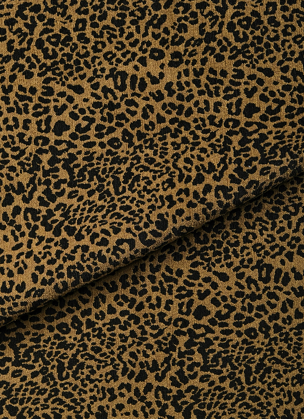 Leo 05