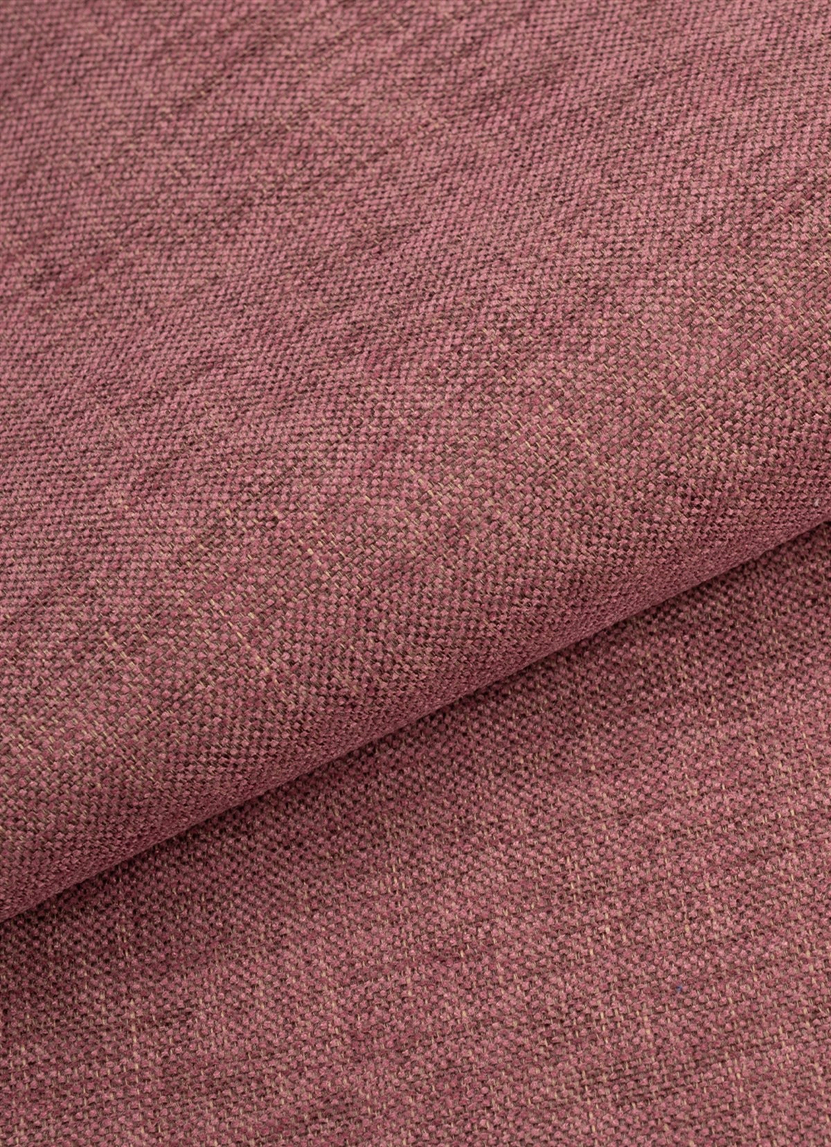 Roma 14