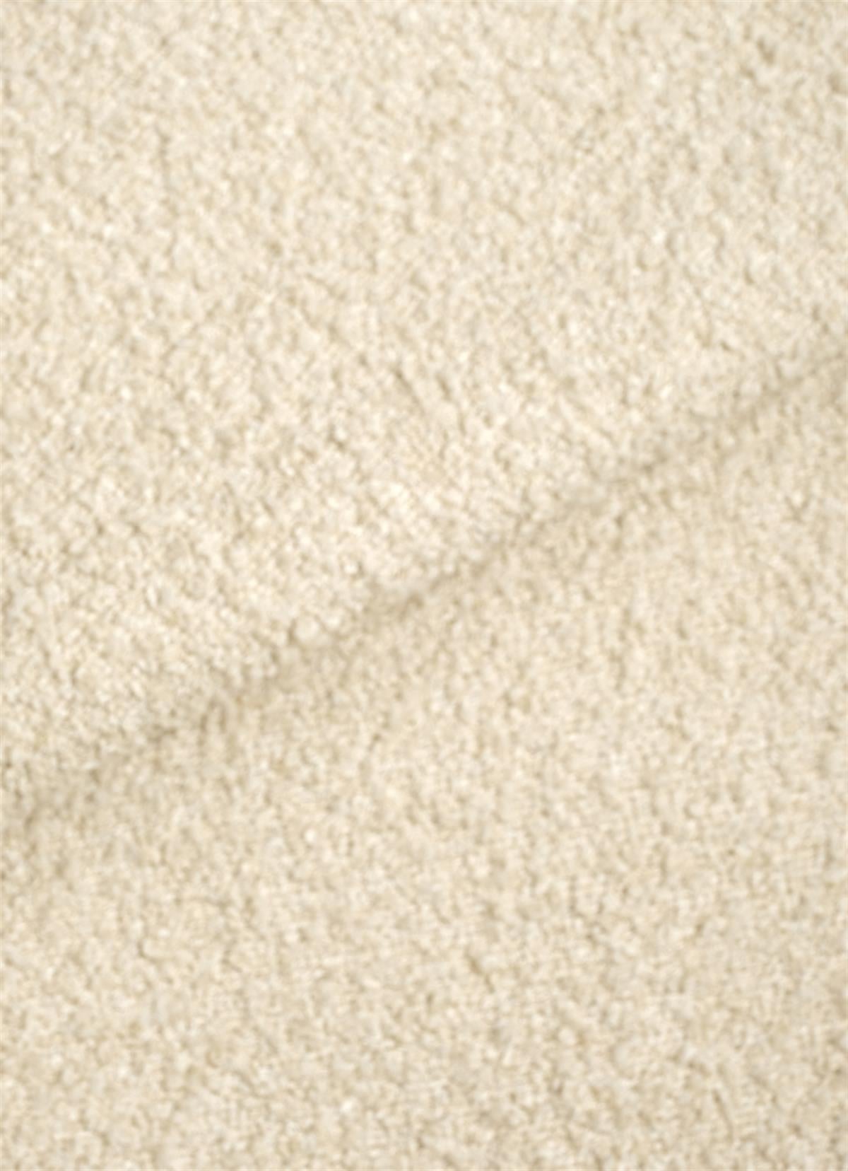 Teddy Pro 14
