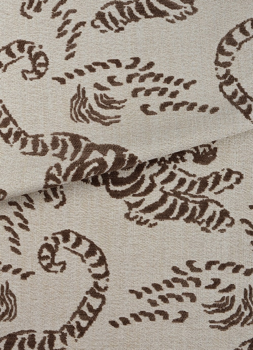 Tiger 03