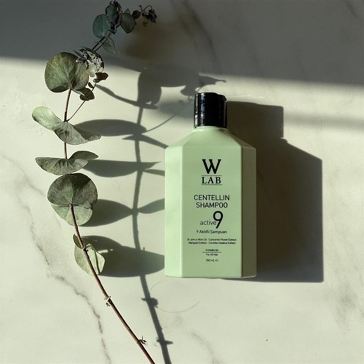 W Lab-Centellin Şampuan 250 mlŞampuanW-LABW Lab-Centellin Şampuan 250 ml | ozekpharma.comW Lab-Centellin Şampuan 250 ml
