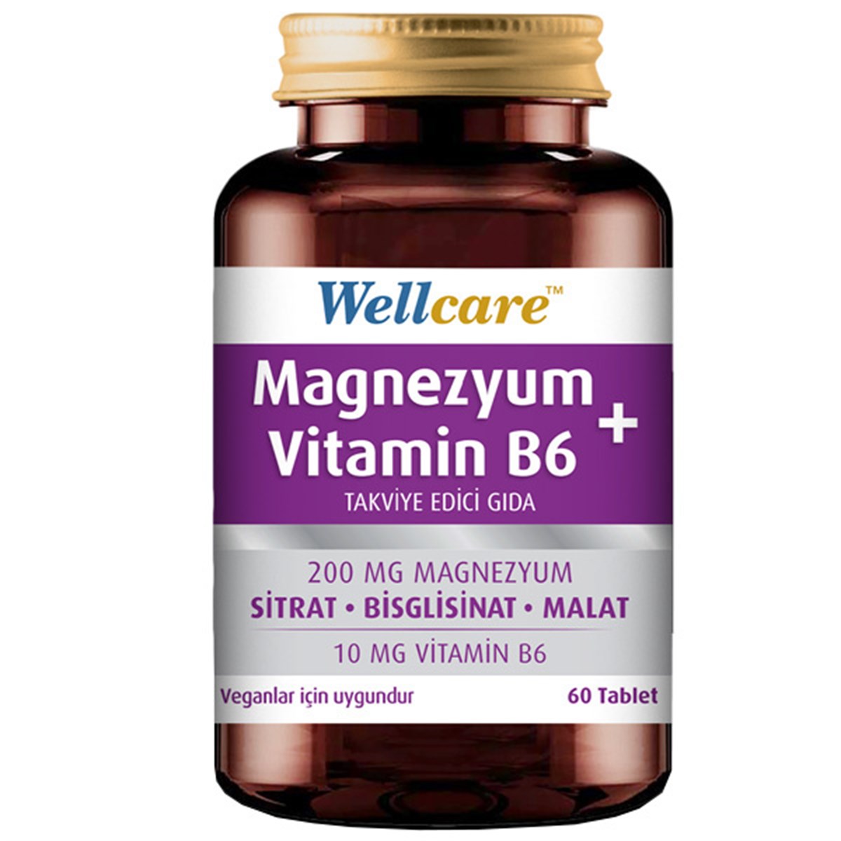 Wellcare Magnezyum + Vitamin B6 60 Tablet