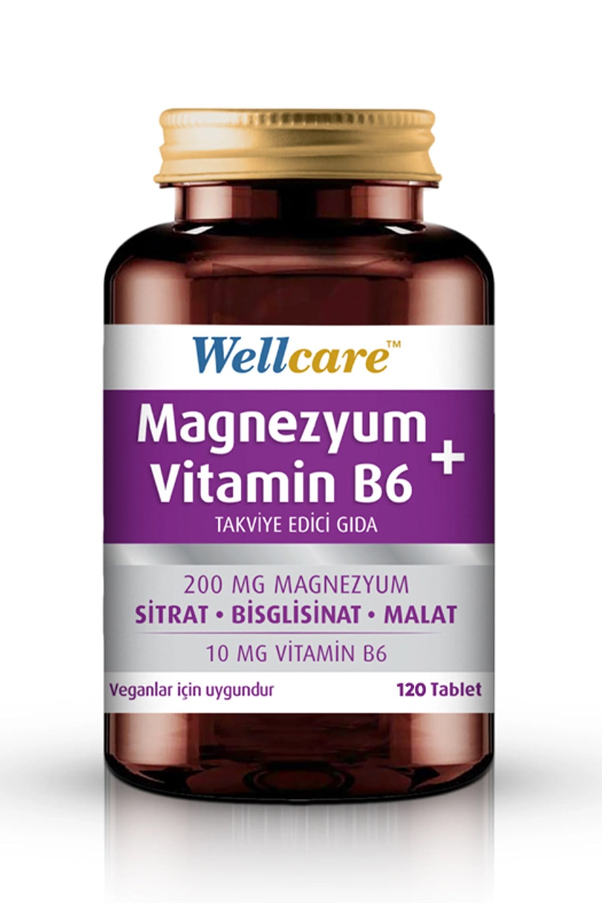 Wellcare Wellcare Magnezyum Vitamin B6 200/10MG 120 Tablet