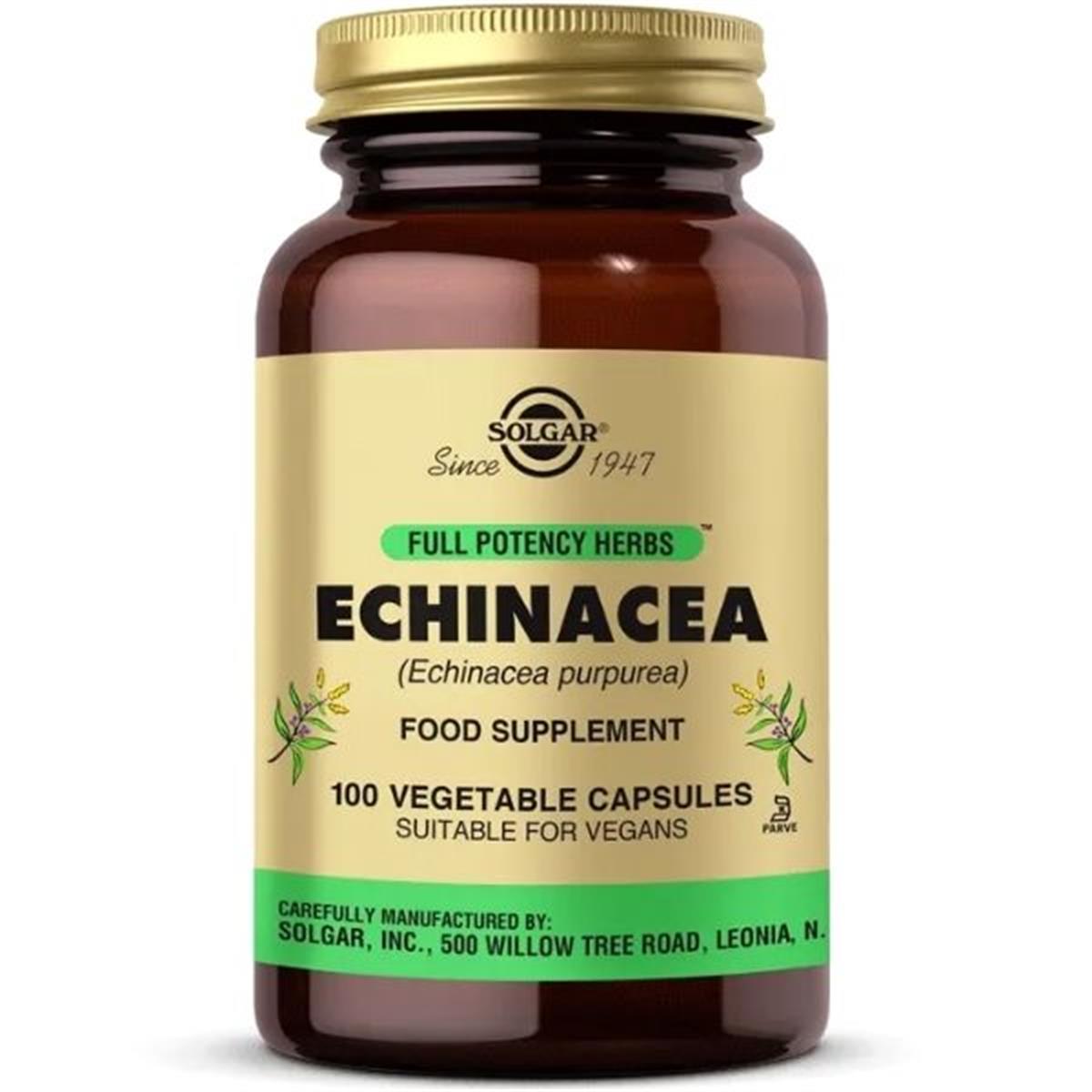Solgar Echinacea 100 Kapsül
