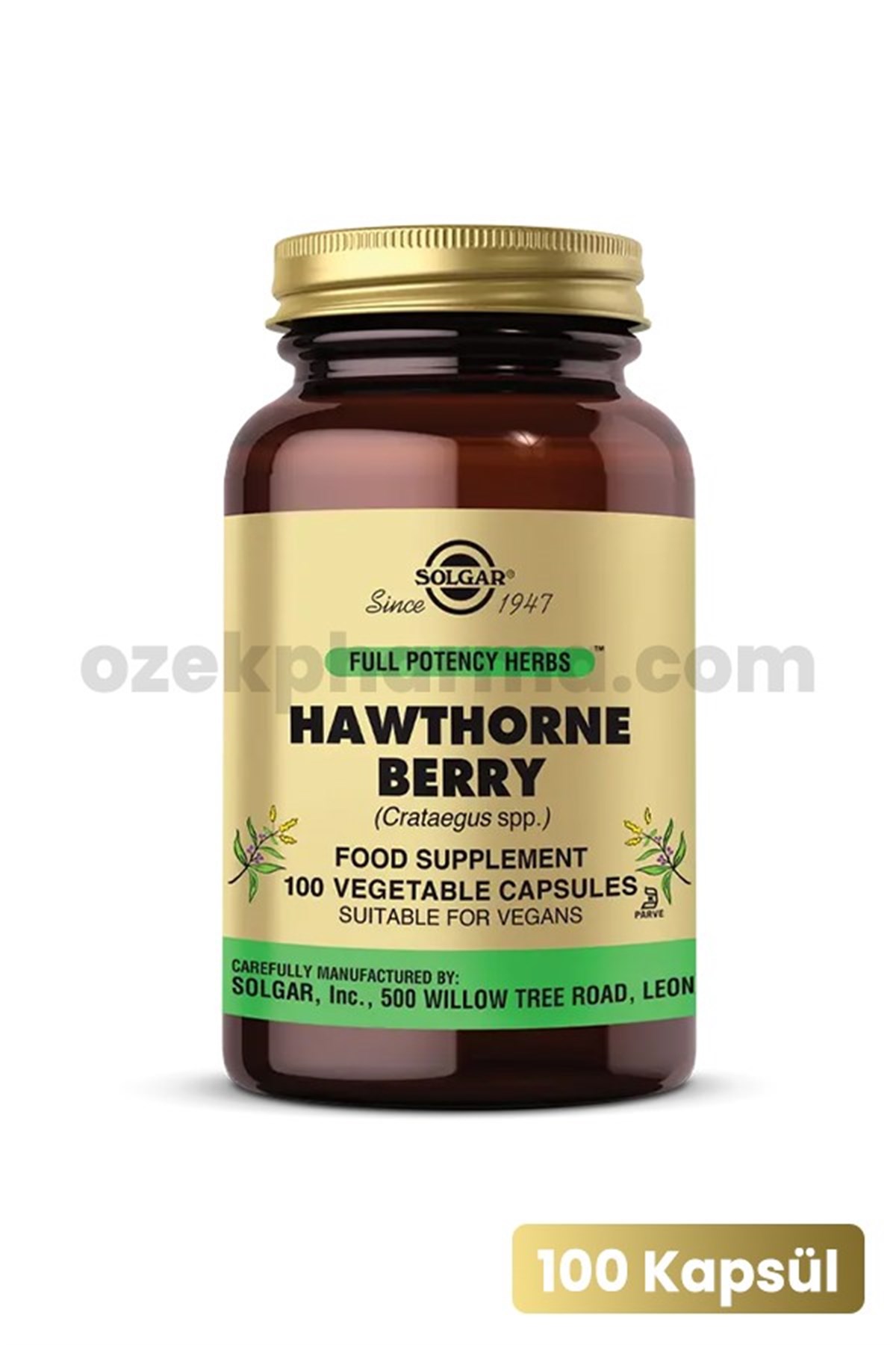 Solgar Hawthorne Berry 100 Kapsül