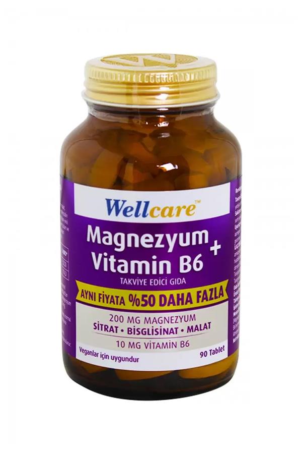 Wellcare Magnezyum + Vitamin B6 90 Tablet