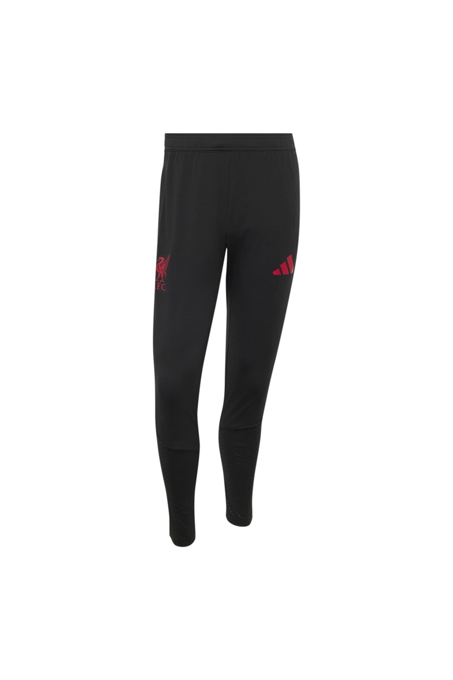 adidas Erkek Eşofman Altı LFC TR PNT KB5741