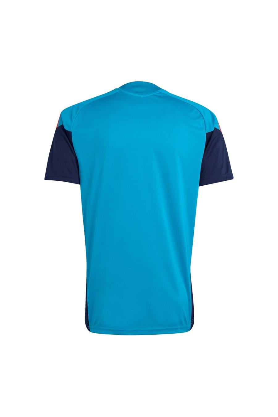 adidas Erkek  Mavi  Forma RFEF TR JSY KA8193