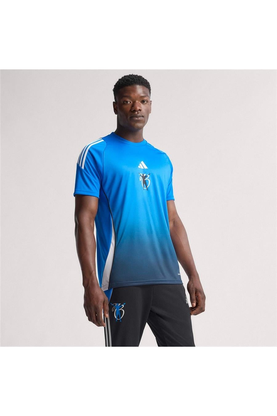 adidas  Erkek Mavi  T-shirt JB TR JSY JX6297