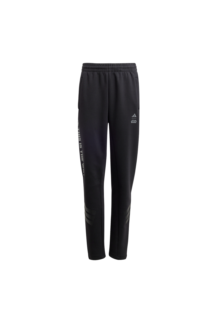 adidas Erkek  Siyah  Eşofman Altı J SW MNDO PNT JF3635
