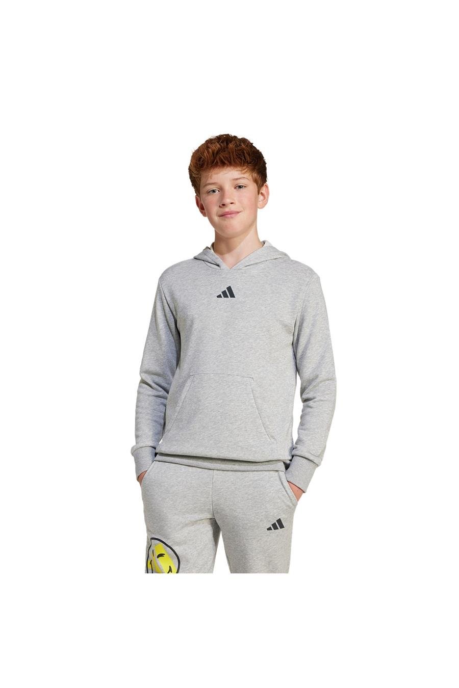 adidas Çocuk  Gri  Sweatshirt J SMI HOODIE JD3288