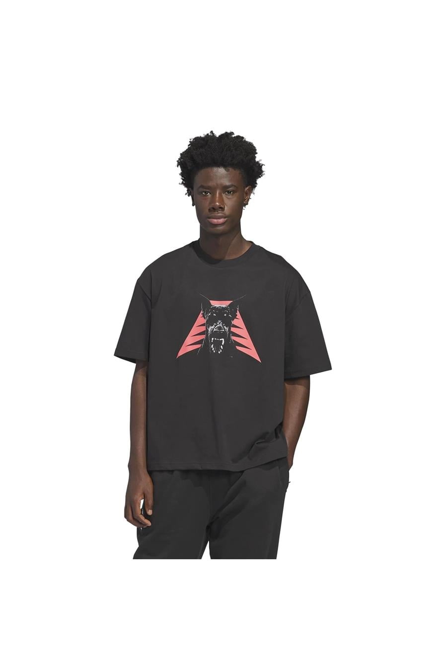 adidas  Erkek T-shirt ANTED DAWG TEE JZ9447
