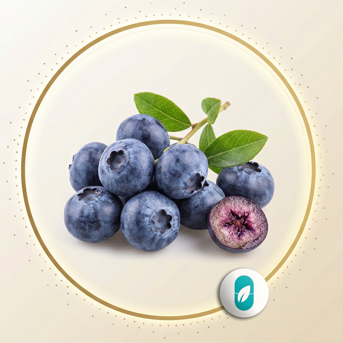 Blueberry (Yaban Mersini) Ekstresi