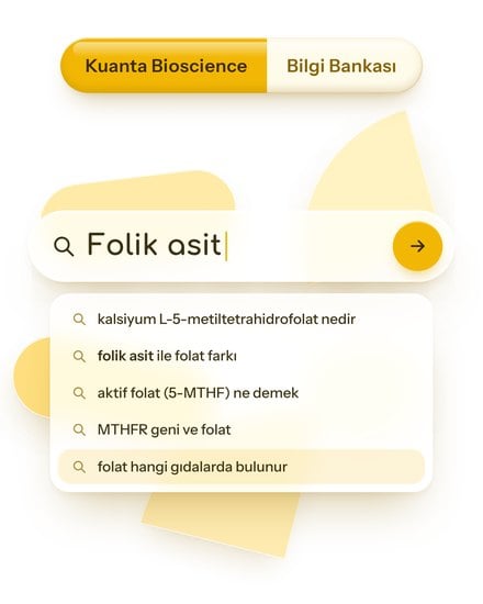 Folik asit