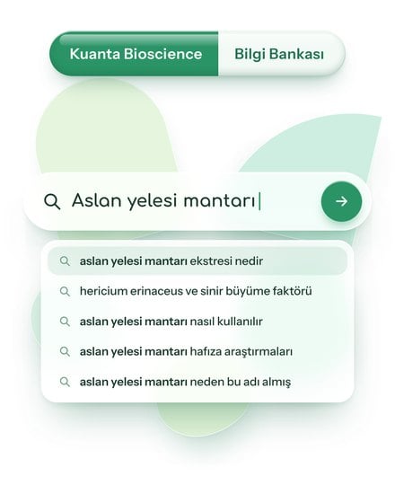 Aslan yelesi mantarı