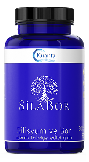 Silabor — Silisyum ve Bor içeren takviye edici gıda
