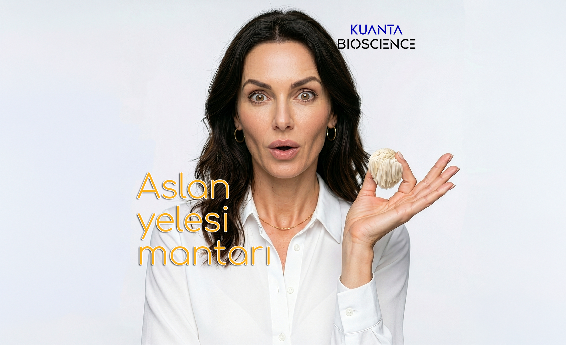 Aslan yelesi mantarı nedir?