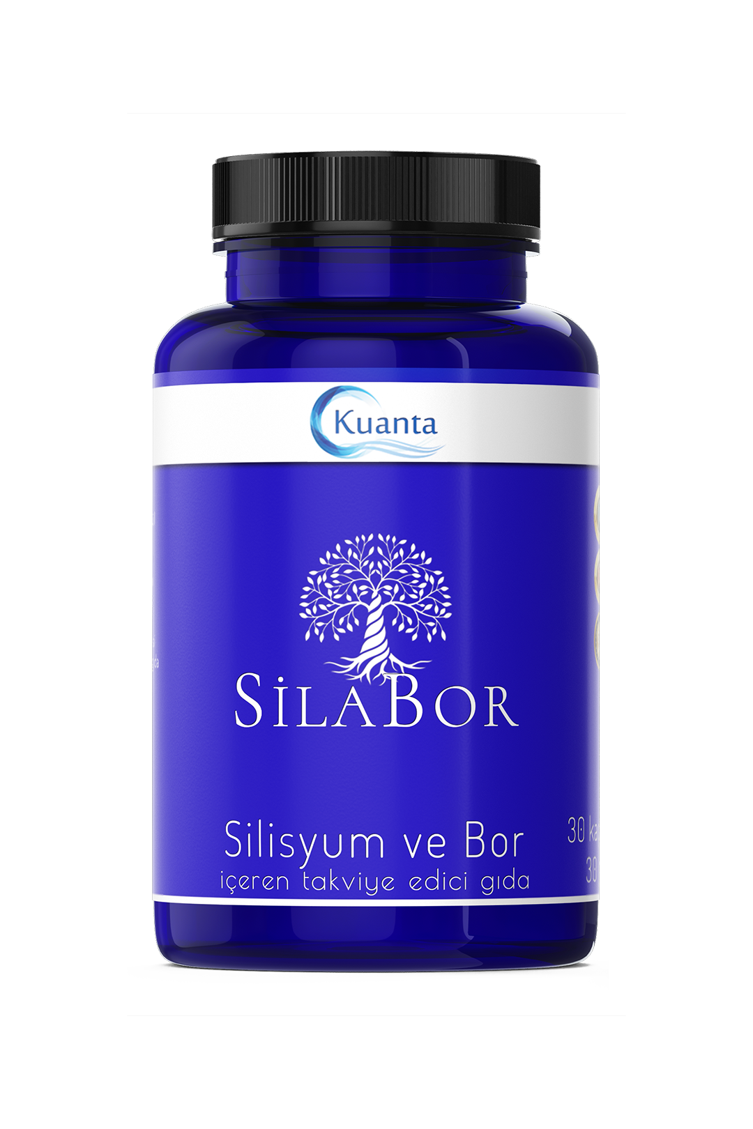 Kuanta Silabor