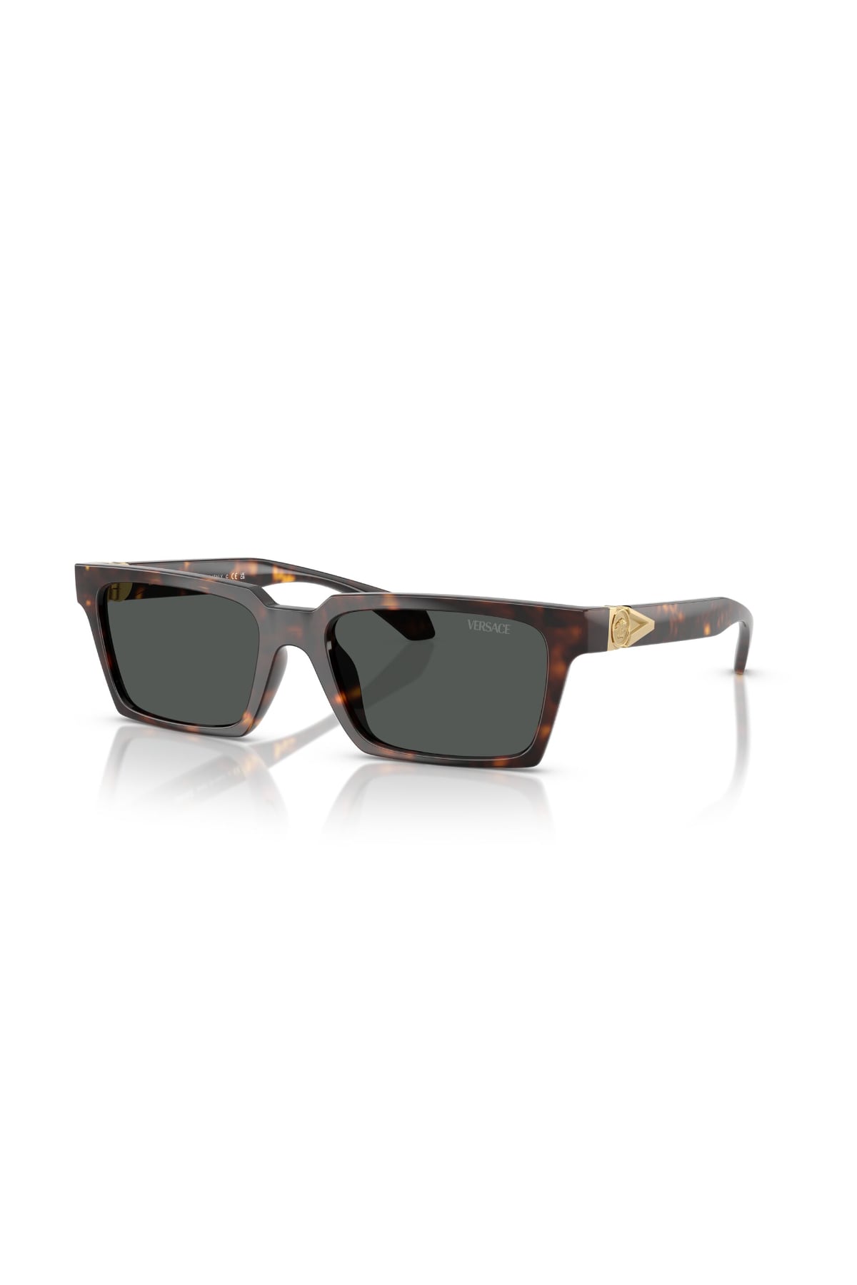 Versace 0VE 4490U 108/87 55 Erkek Güneş Gözlüğü
