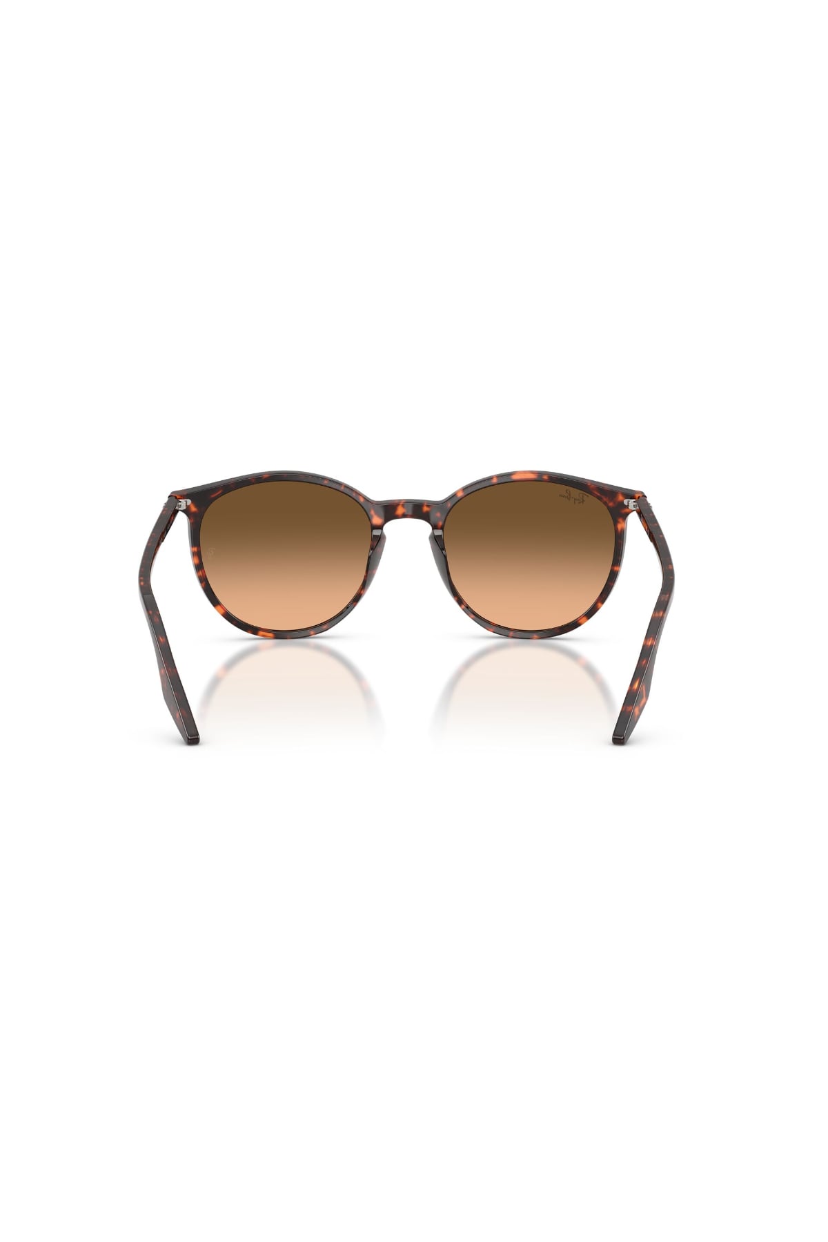 Ray-Ban 0RB 2204 14293B 51 Unisex Güneş Gözlüğü