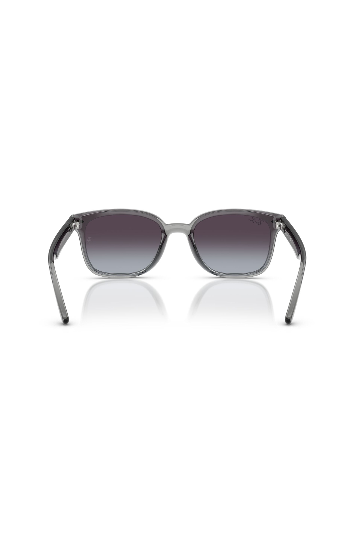 Ray-Ban 0RB 4461D 64508G 64 Unisex Güneş Gözlüğü