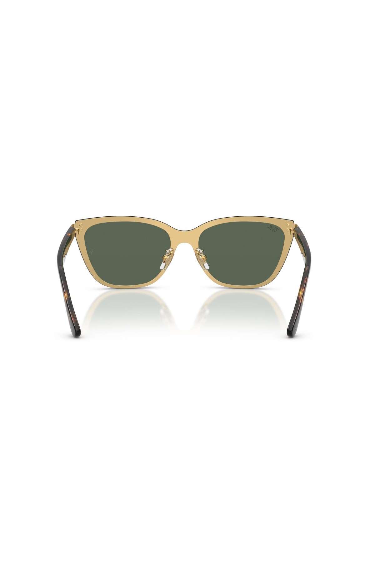 Ray Ban 0RB 3798D 001/71 45 Unisex Güneş Gözlüğü