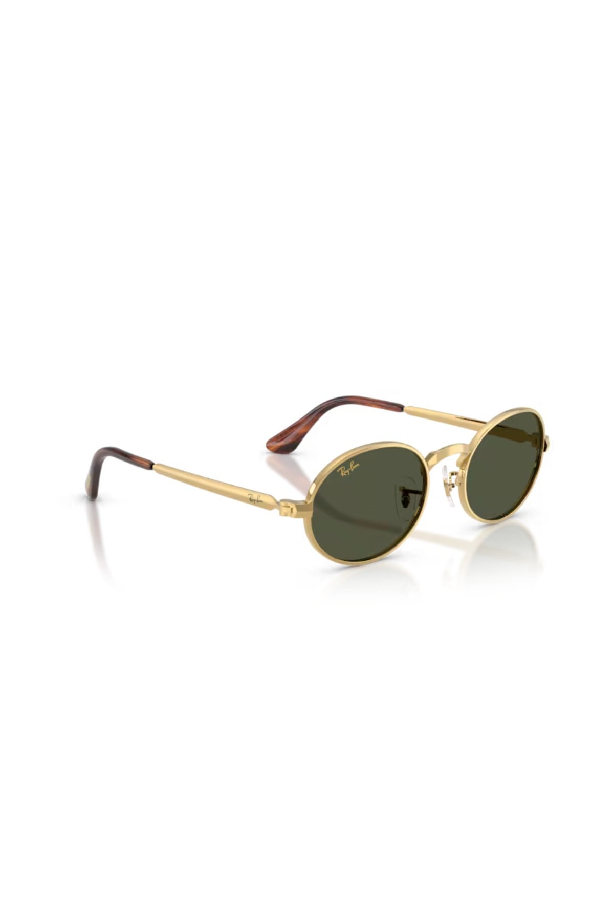 Ray-Ban 0RB 3931 001/31 54 Unisex Güneş Gözlüğü