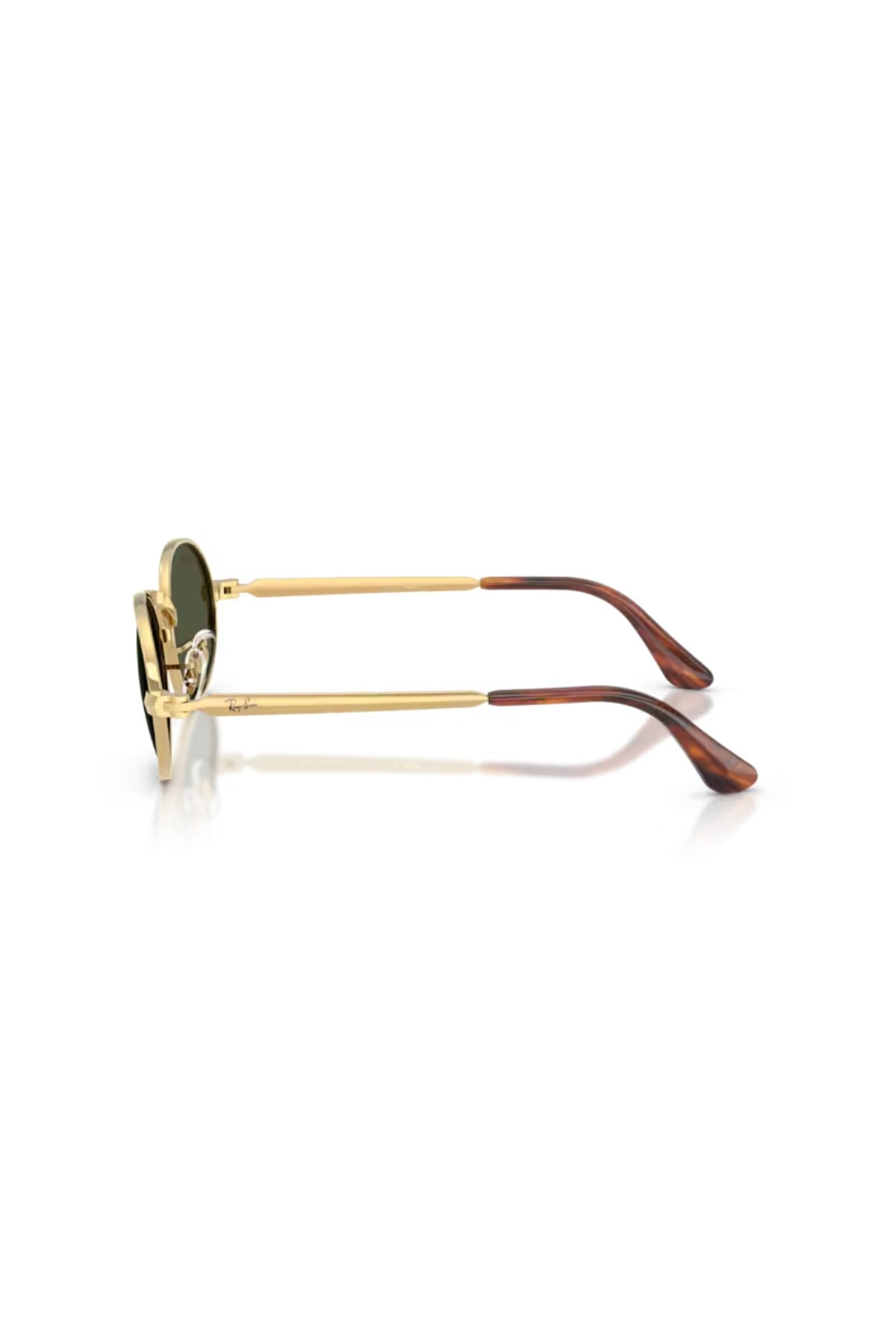 Ray-Ban 0RB 3931 001/31 54 Unisex Güneş Gözlüğü