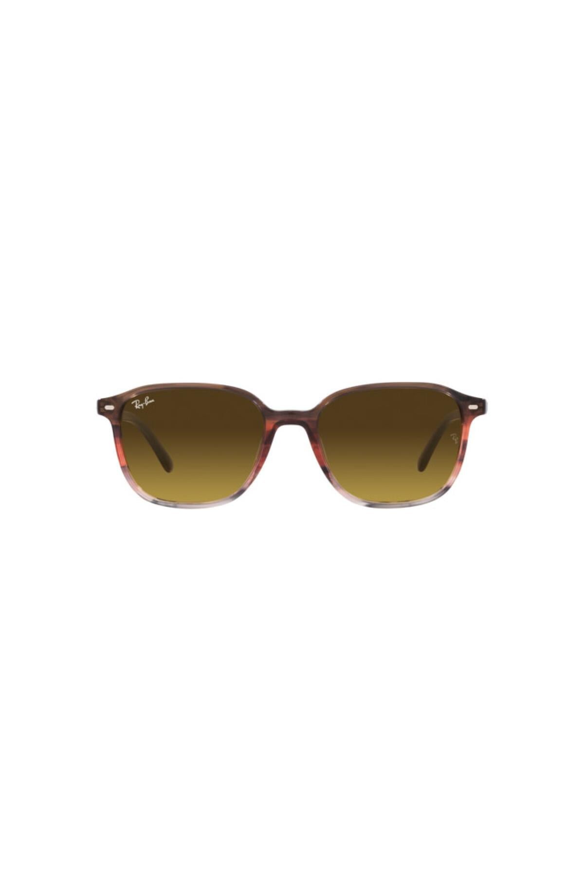 Ray-Ban 0RB 2193 138085 53 Unisex Güneş Gözlüğü