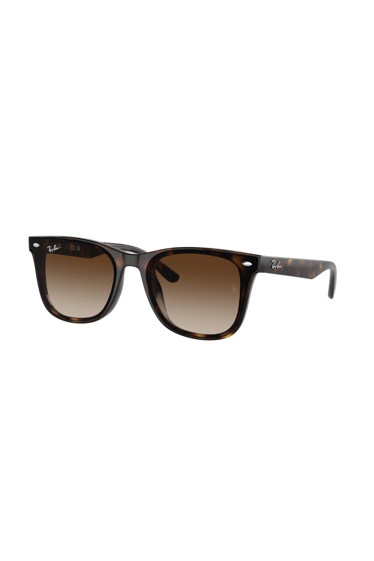 Ray-Ban 0RB 4420 710/13 65 Unisex Güneş Gözlüğü