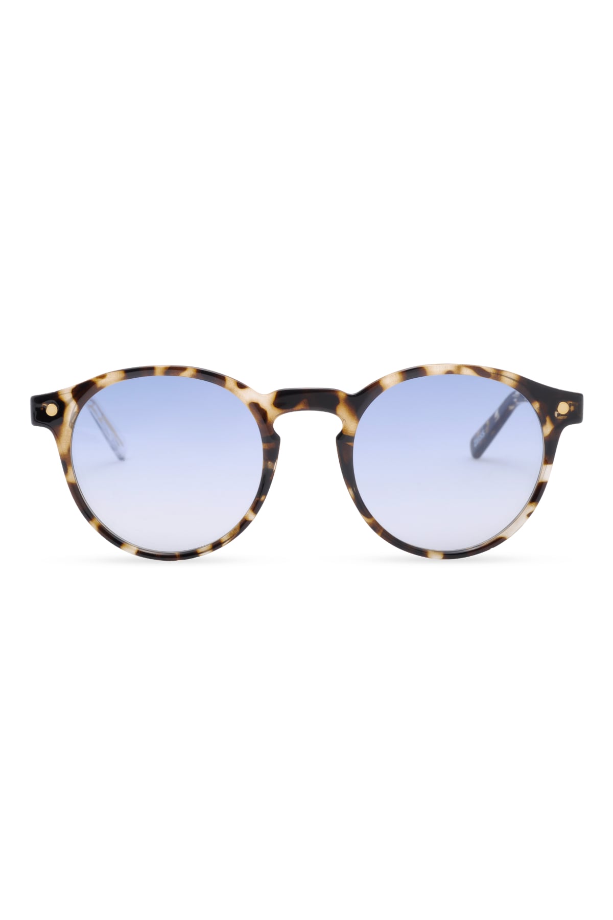 Snob Milano - IL Dogui-SNVX10-C003-Z 48 Unisex Güneş Gözlüğü