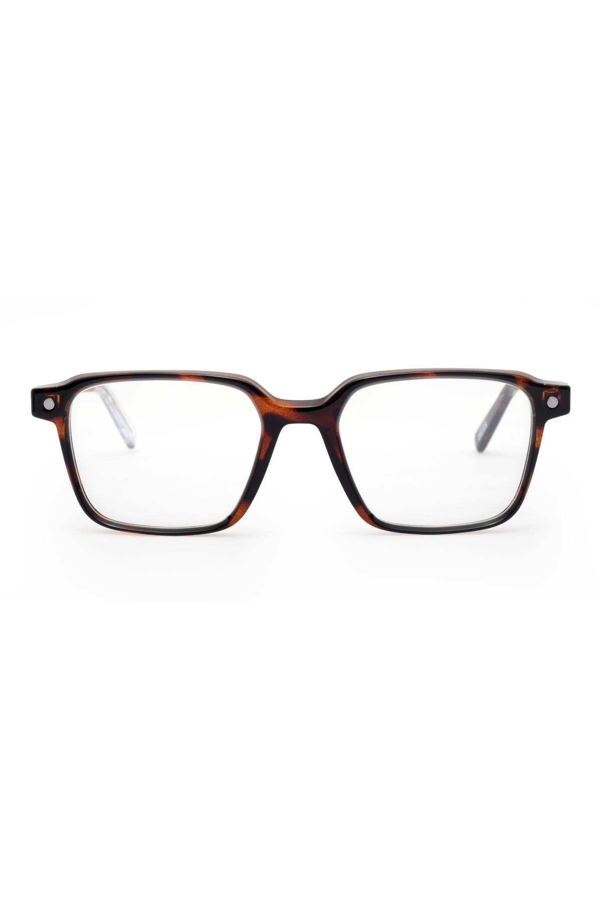 Snob Milano - Ribot SNV216-C002-Z 50 Unisex Güneş Gözlüğü