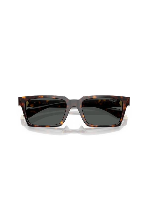 Versace 0VE 4490U 108/87 55 Erkek Güneş Gözlüğü
