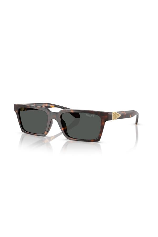 Versace 0VE 4490U 108/87 55 Erkek Güneş Gözlüğü